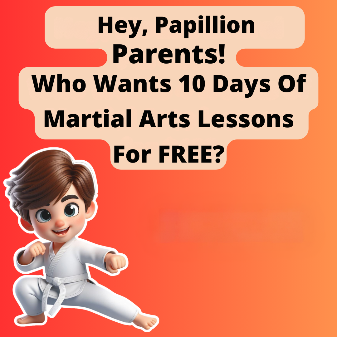 Champion Sport Karate Papillion Facebook ad
