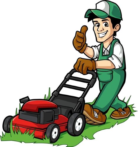 Stihl Shop Rotorua Facebook ad: Lawnmower Service Special