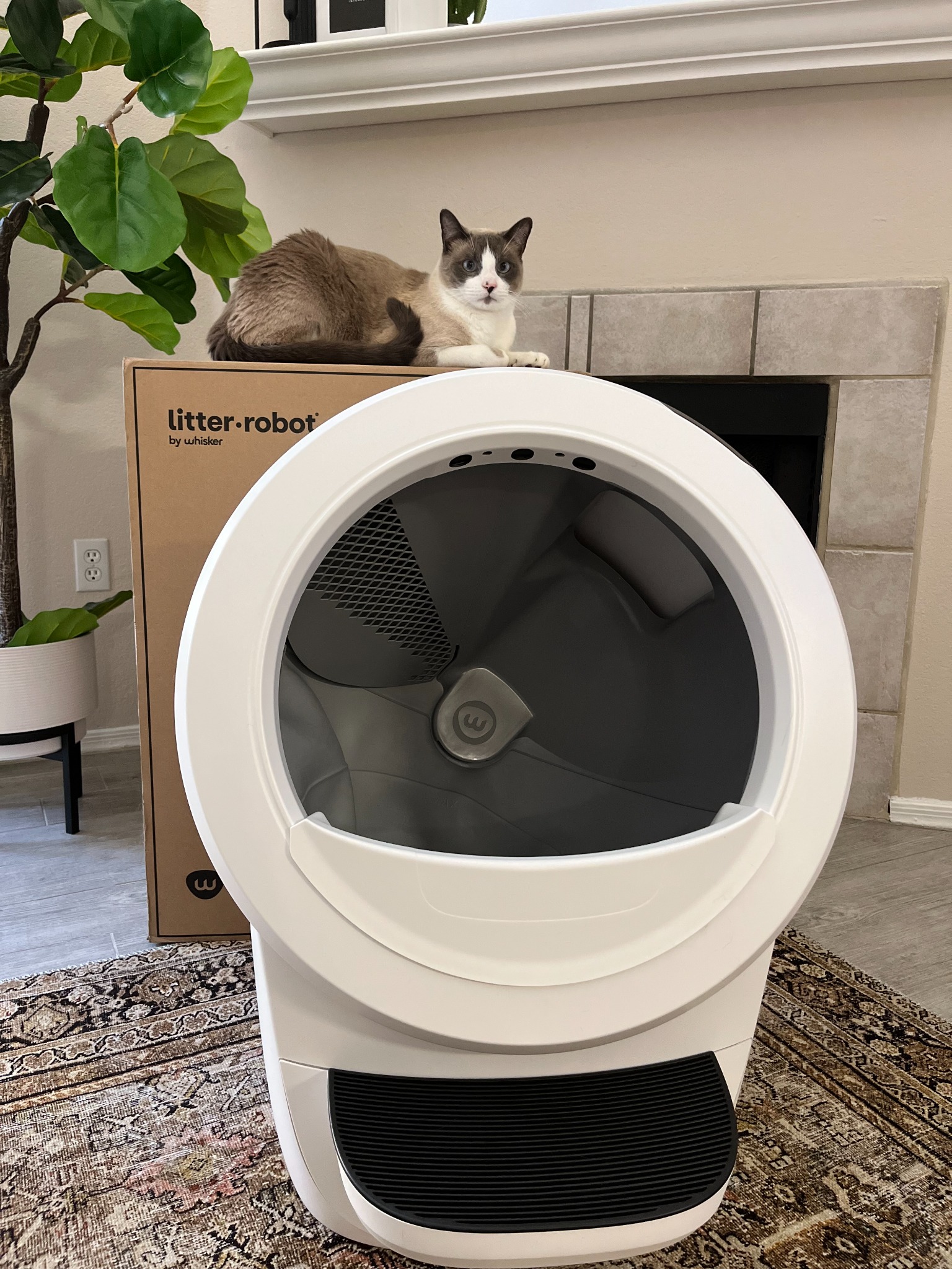 Litter-Robot by Whisker Facebook ad