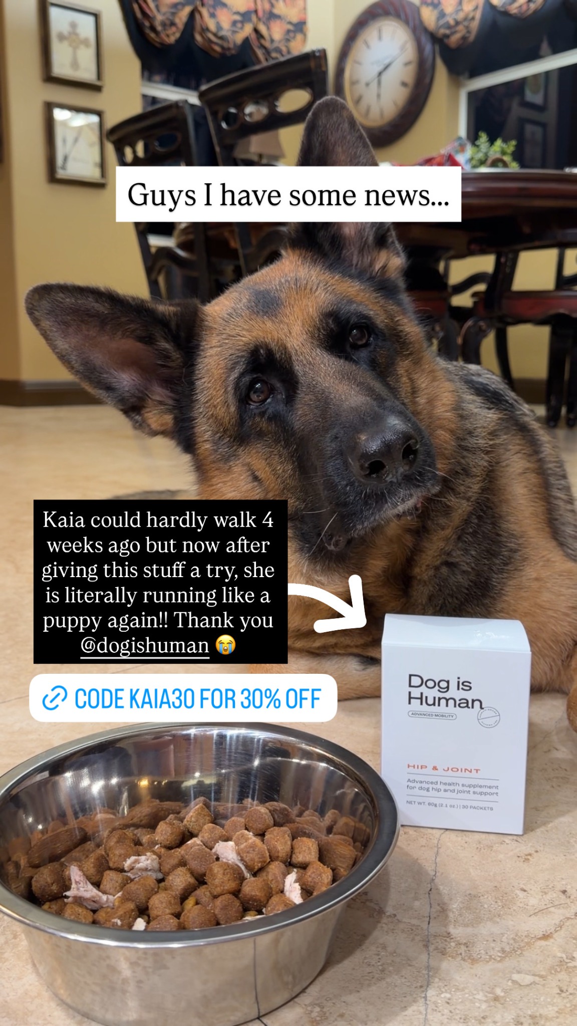 Dog is Human Facebook ad