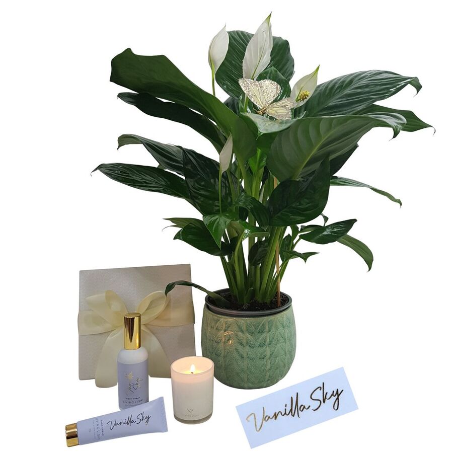 Best Blooms Facebook ad