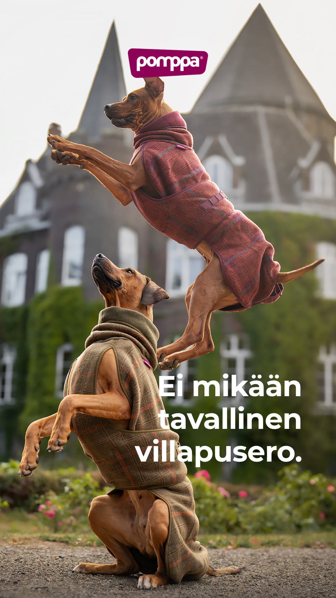 Pomppa Dogwear Facebook ad: Villainen uutuus syksyyn!