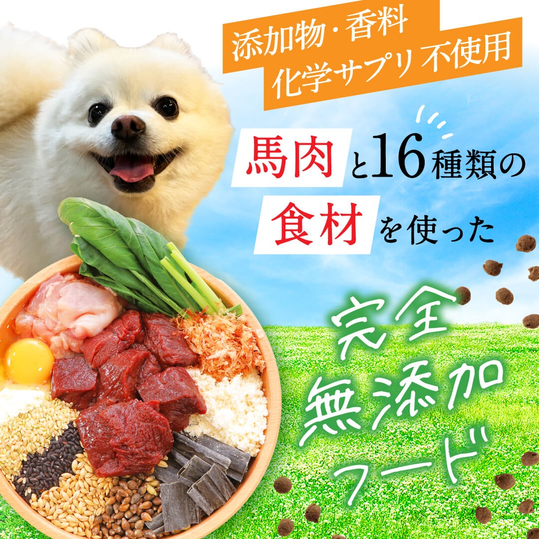 健康いぬ生活 Facebook ad