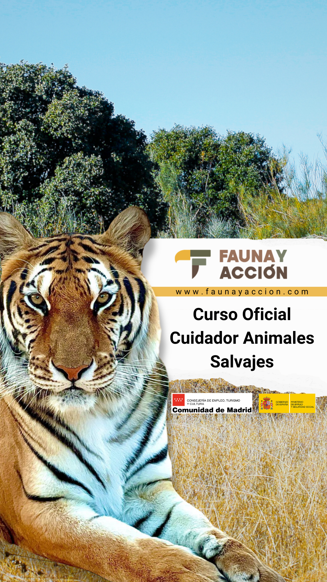 Faunayacción Animalesdecine Facebook ad from Jun 5, 2025