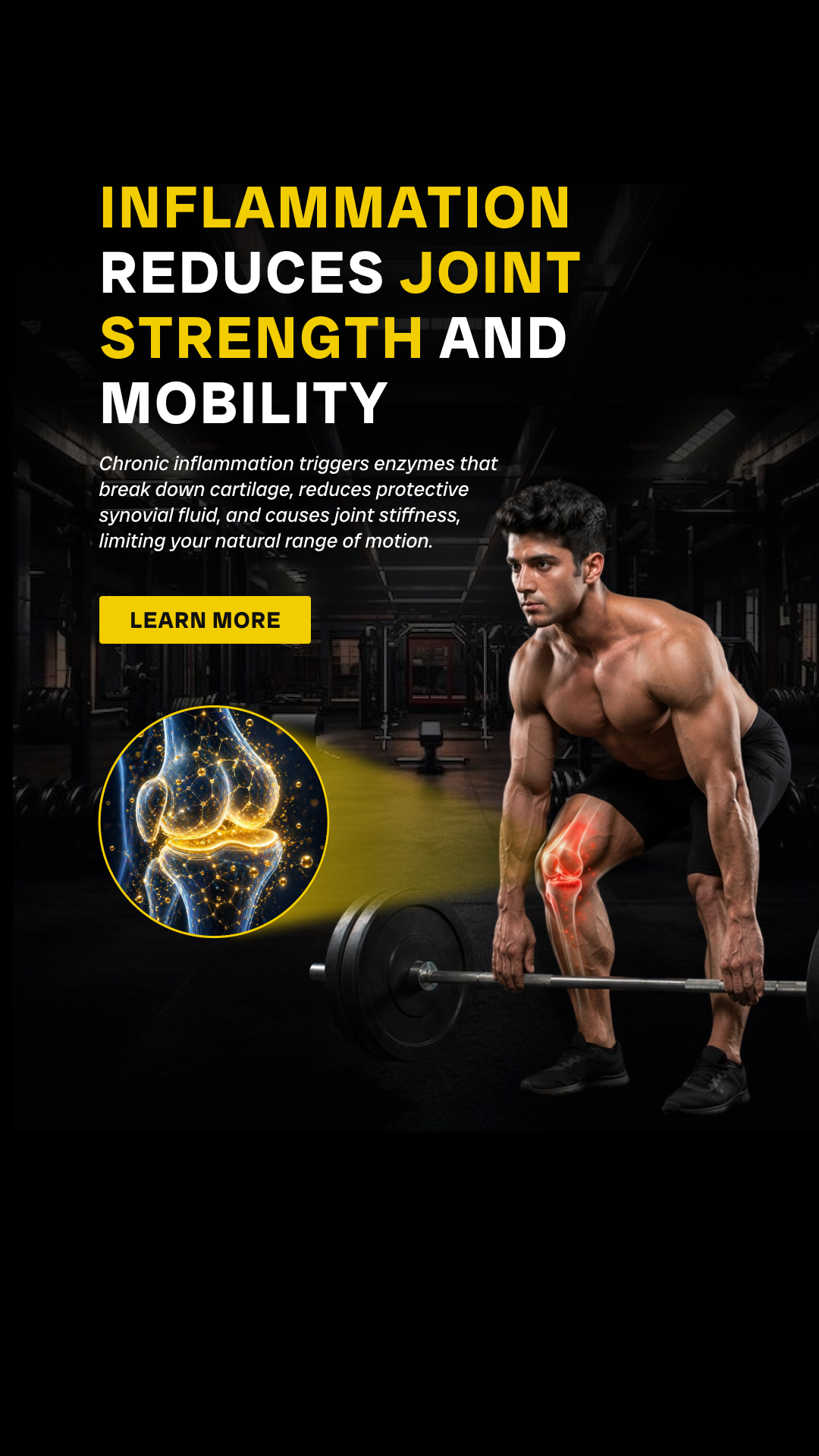 Youwefit - Wellversed Brand Facebook ad