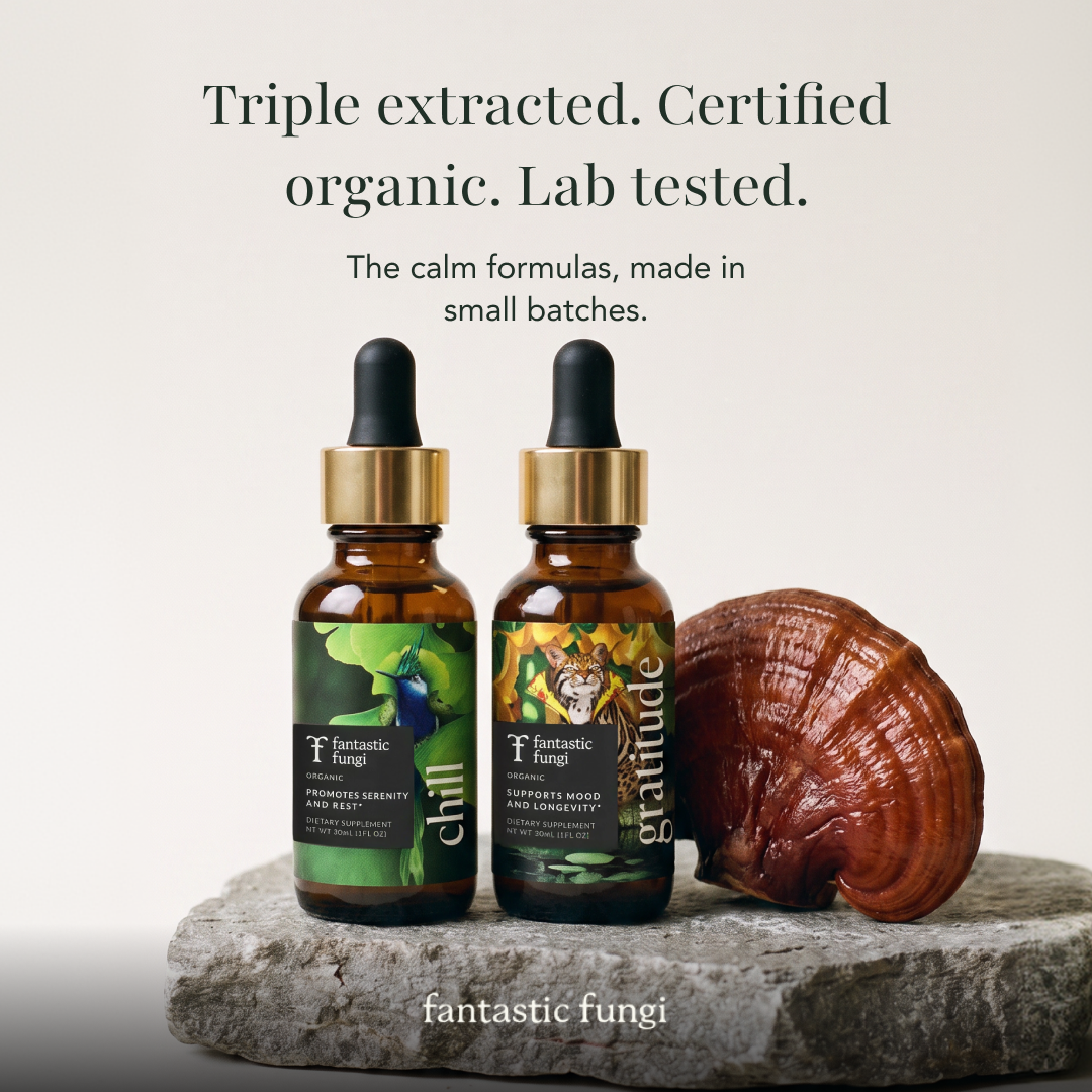 Fantastic Fungi Facebook ad