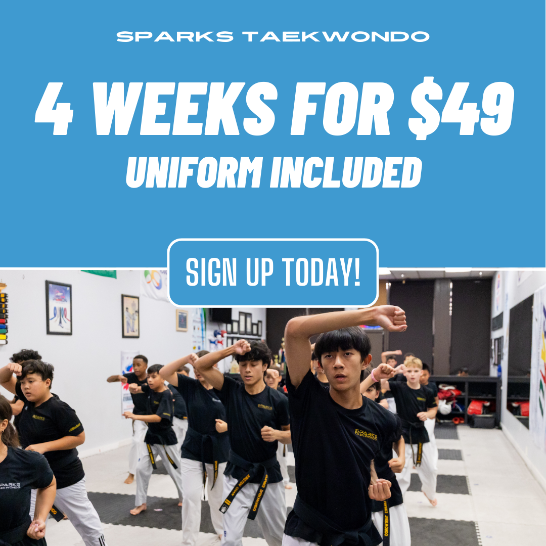 Sparks Taekwondo Facebook ad