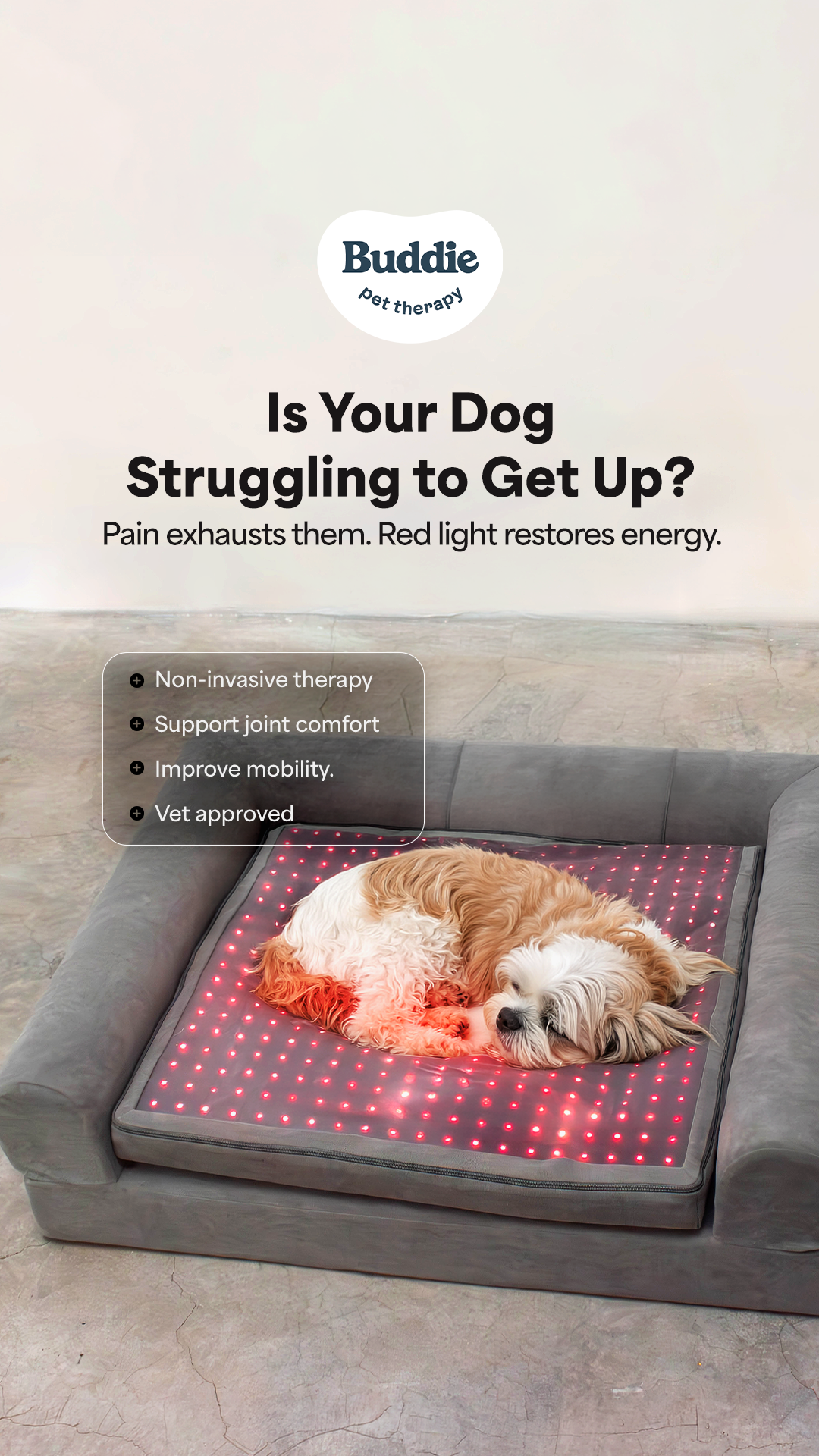 Buddie Pet Therapy Facebook ad