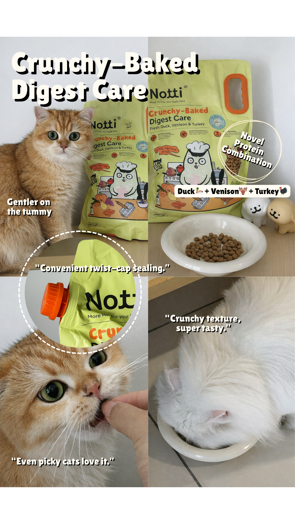 Notti Pet Food Facebook ad