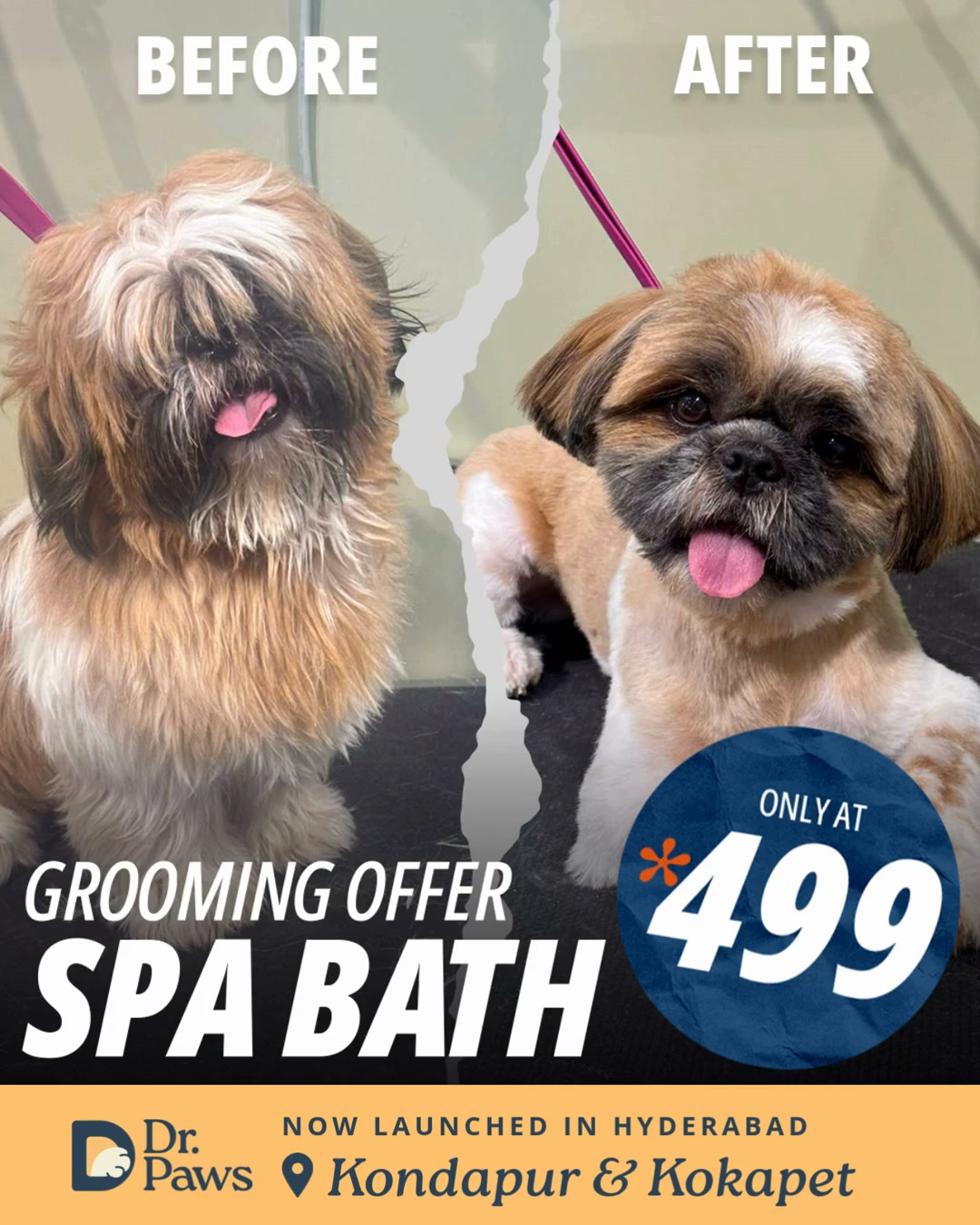 Dr Paws Facebook ad: Complete Pet Grooming at ₹499