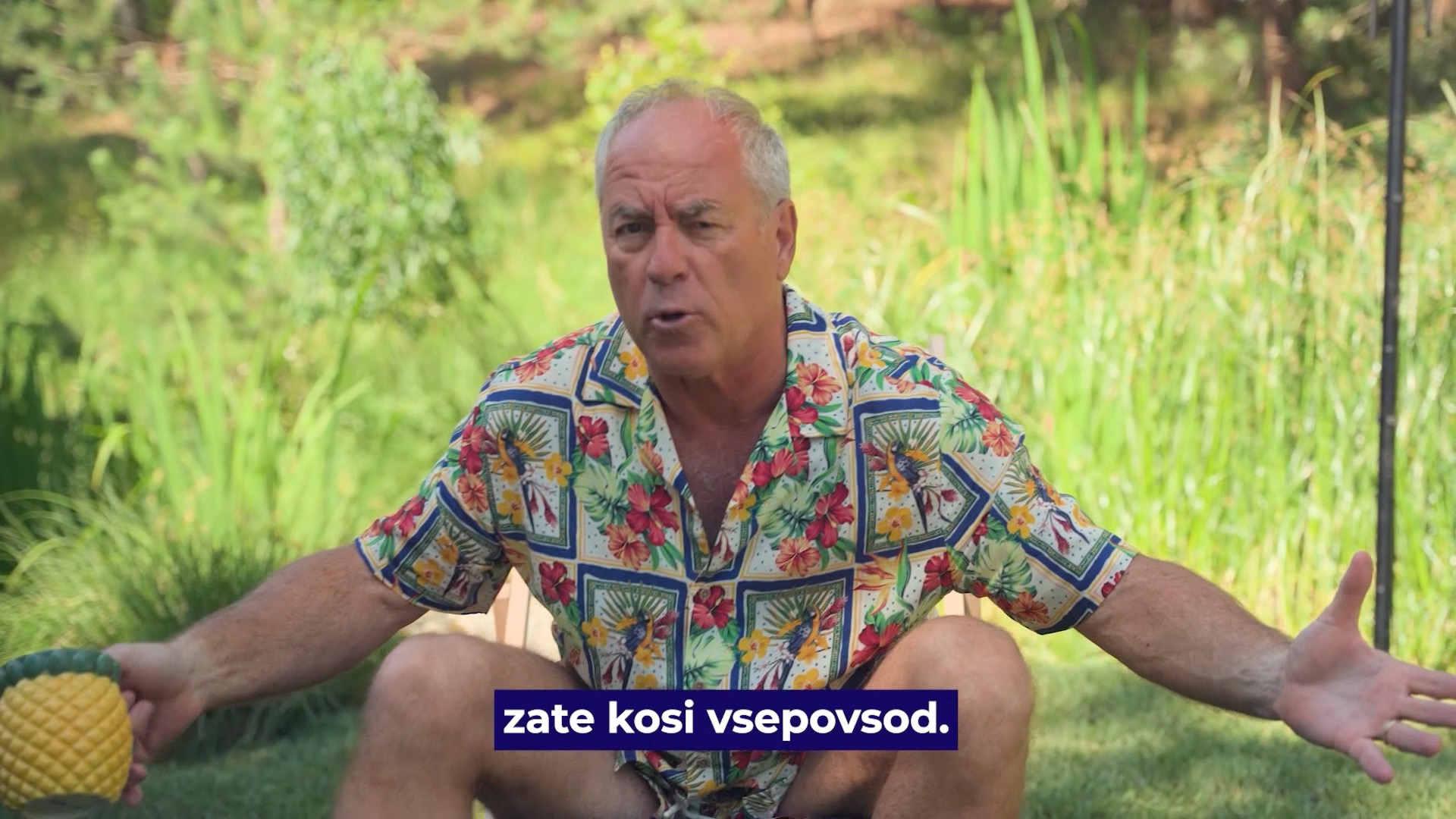 Sunseeker Elite - Baterijski program Facebook ad: Kosi na tleh
