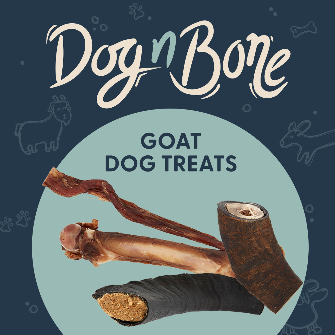 Petstock Facebook ad