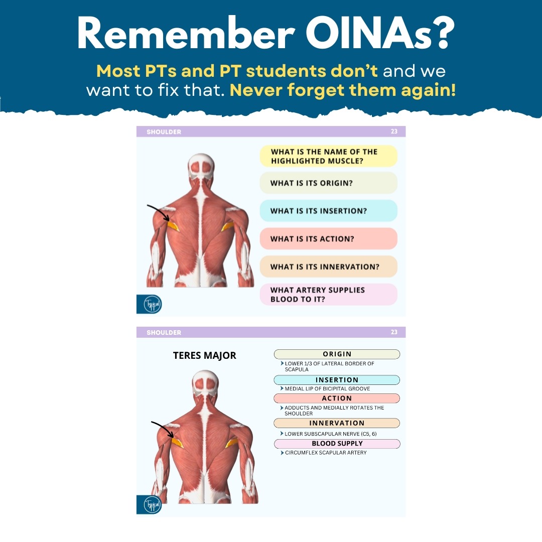 Typical PT Facebook ad: Never Forget OINAs