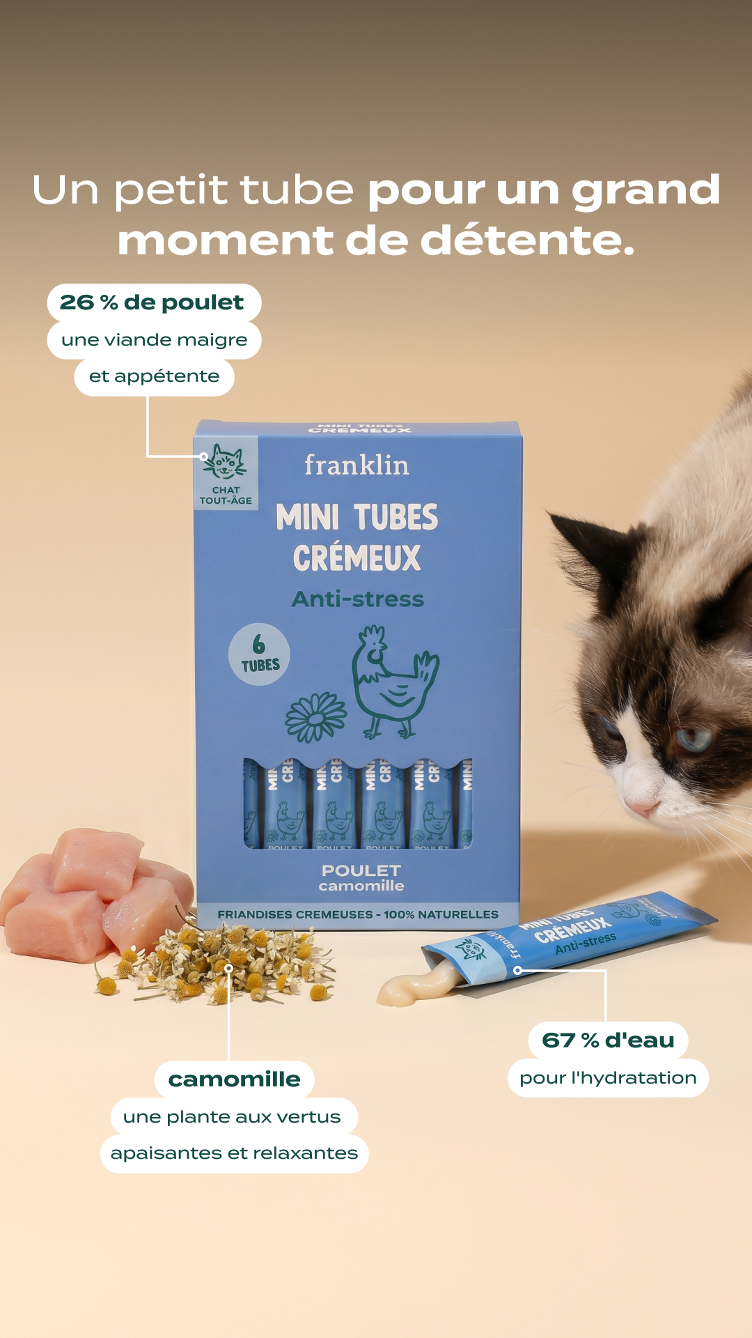 Franklin Pet Food Facebook ad: Un coup de stress? Offrez-lui une pause apaisante