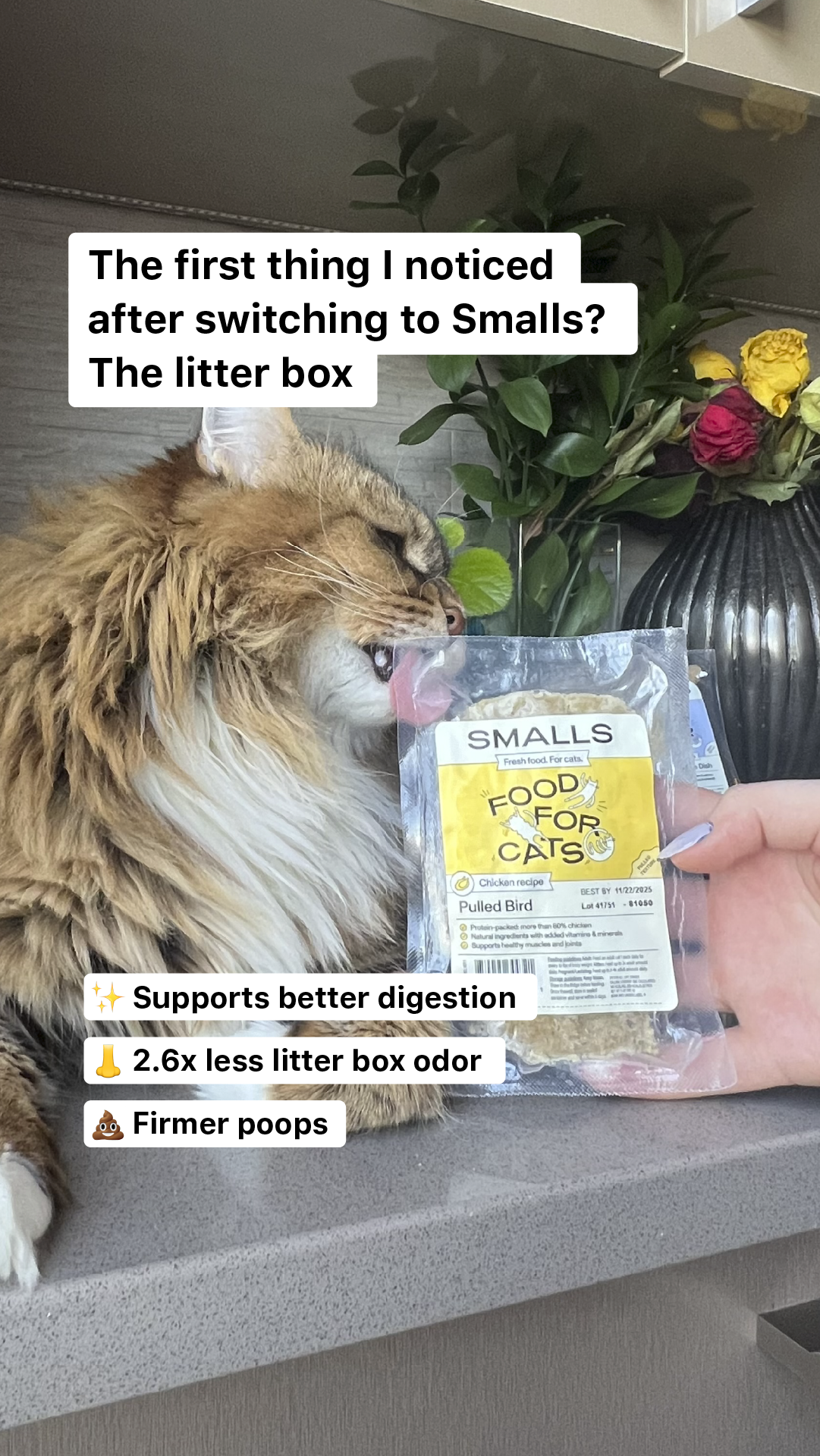Smalls Facebook ad