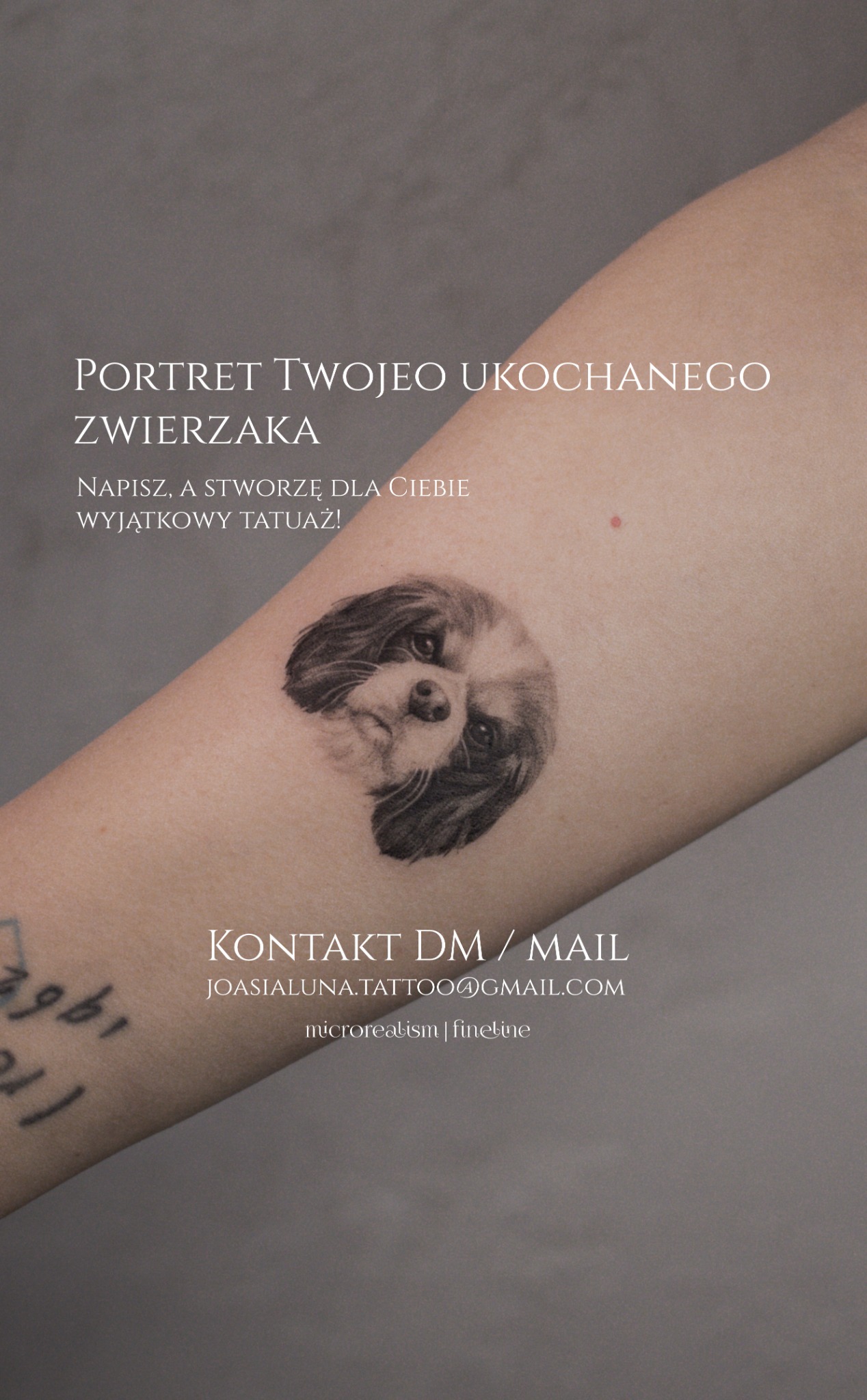 Joasia_Luna Facebook ad: Portret ukochanego zwierzaka.