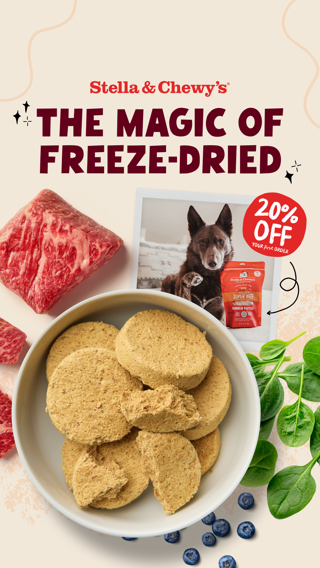 Stella & Chewy's Facebook ad