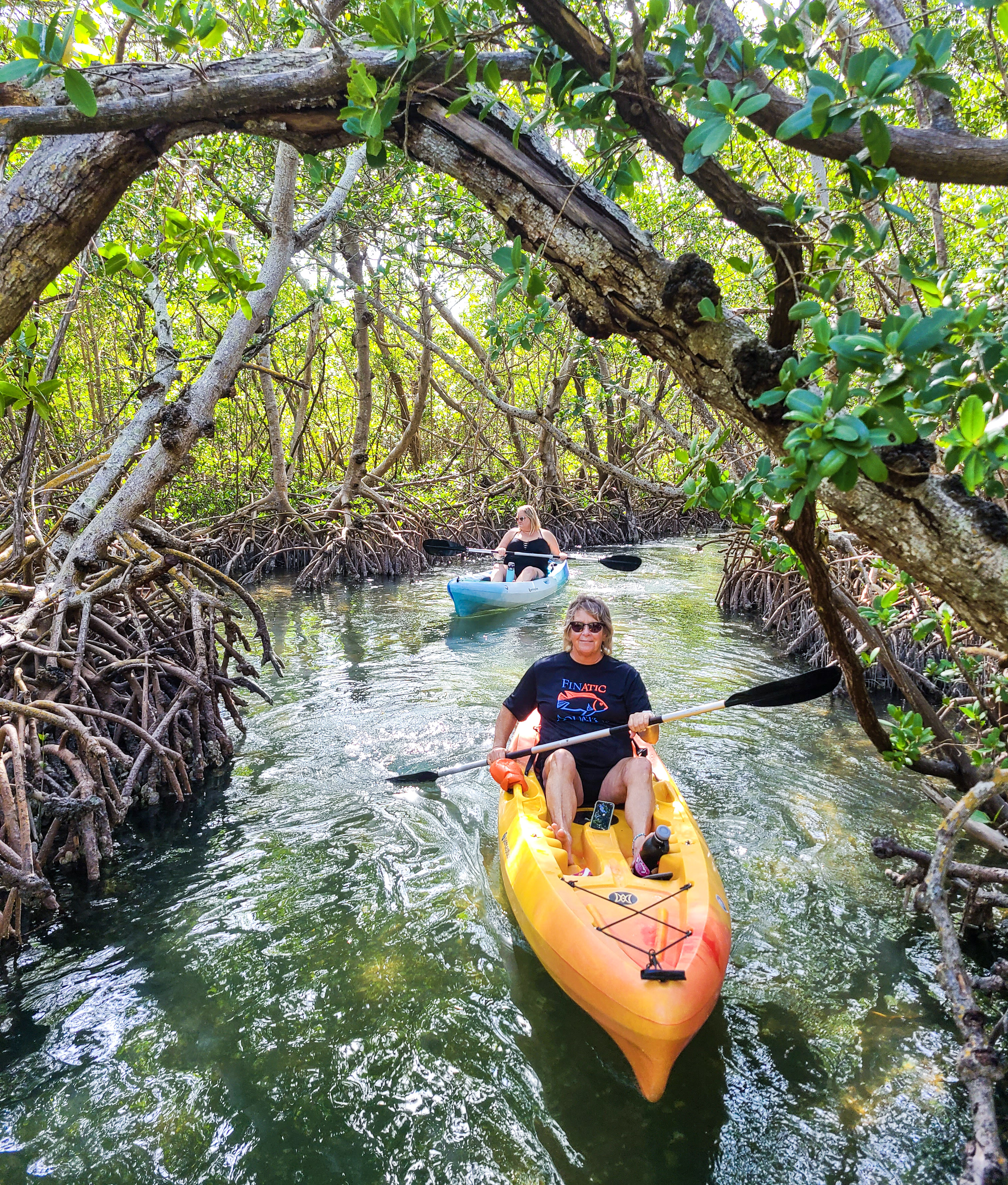 Surfit USA-Kayak, Paddleboard and Surf Facebook ad: Explore the amazing mangrove tunnels of Lido Key.