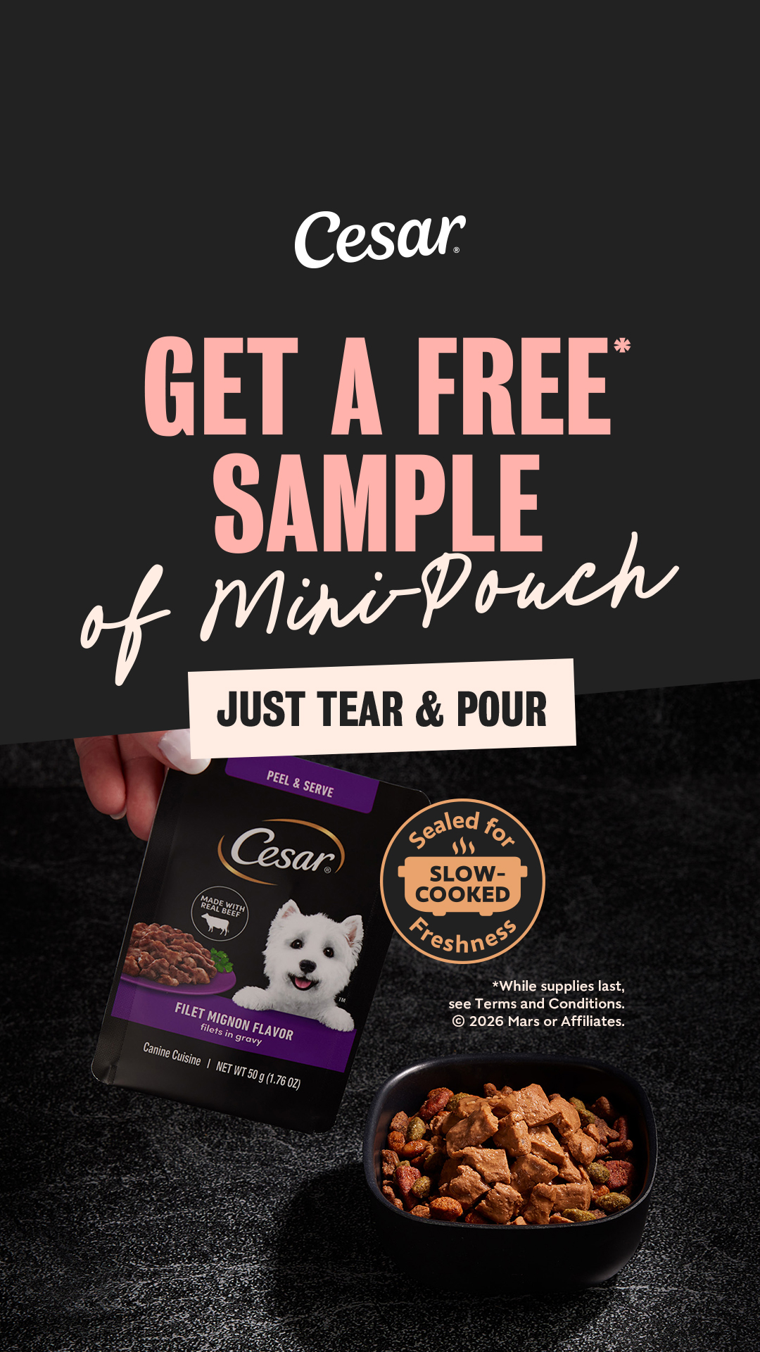 Cesar Canine Cuisine Facebook ad from Apr 8, 2026