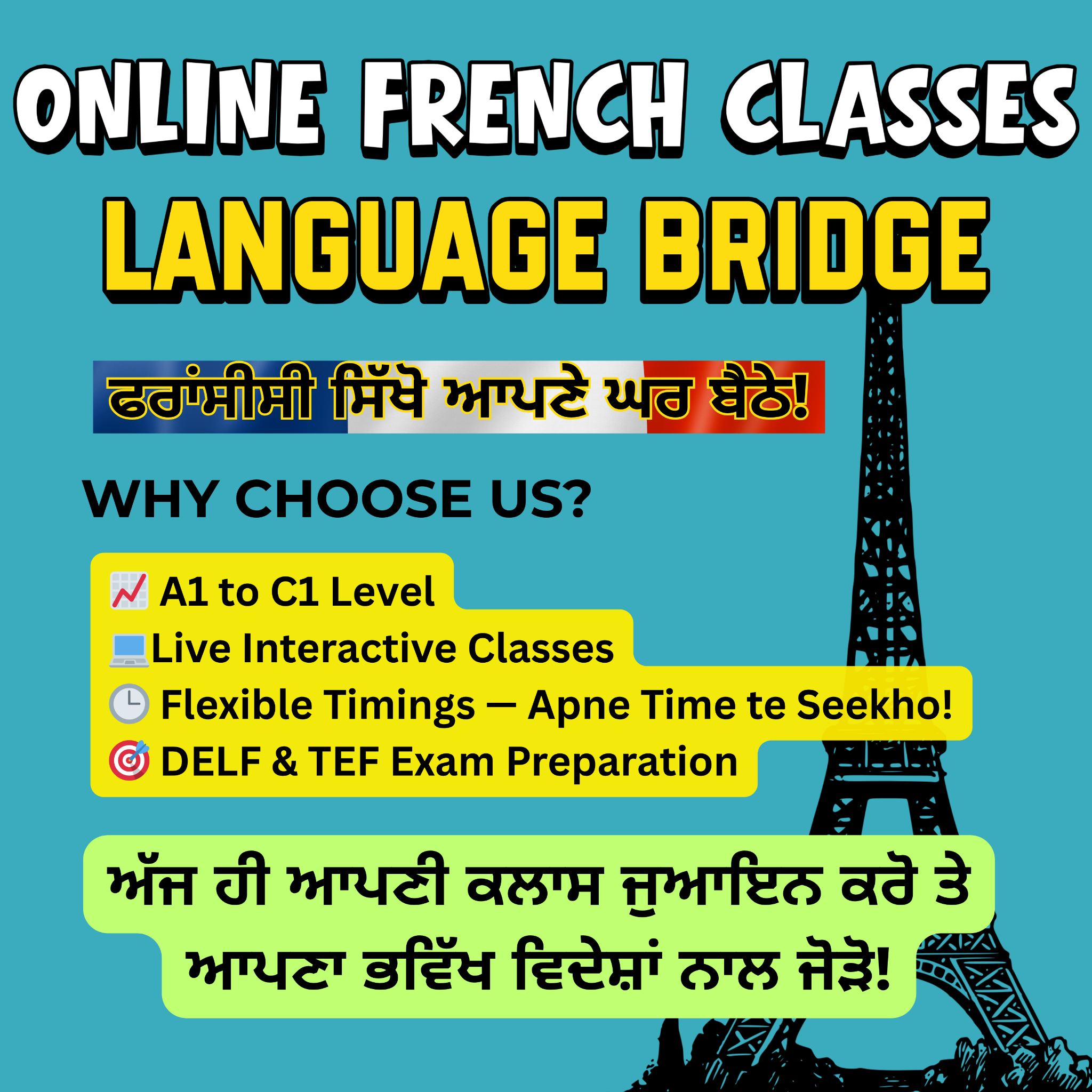 Language Bridge French Facebook ad