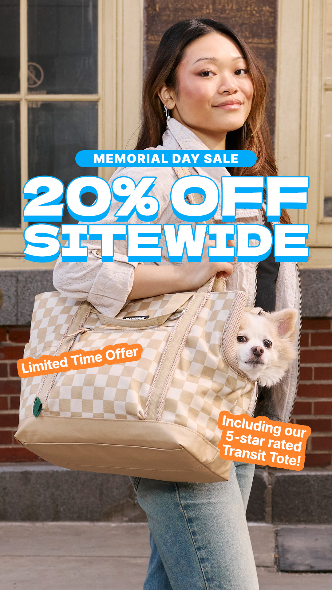 Cleverpup Facebook ad