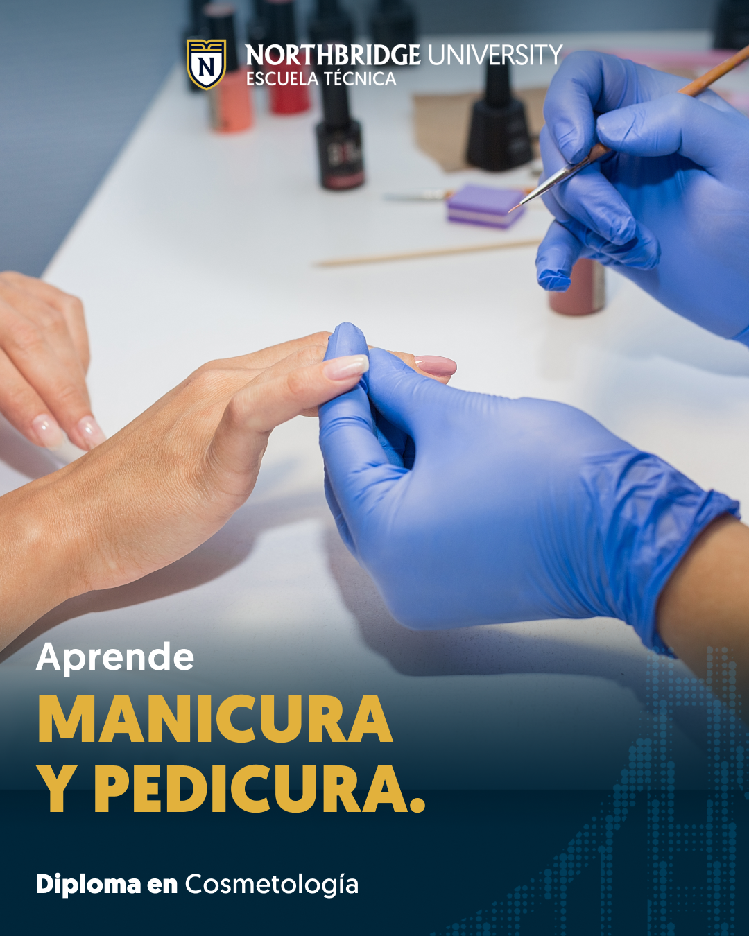 Northbridge University - Escuela Técnica Facebook ad
