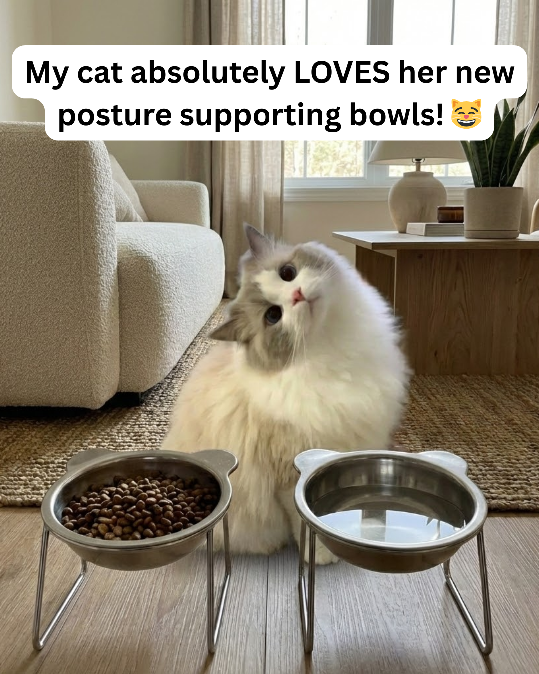 The Friendly Feline Facebook ad: Read this if you still use a standard cat bowl