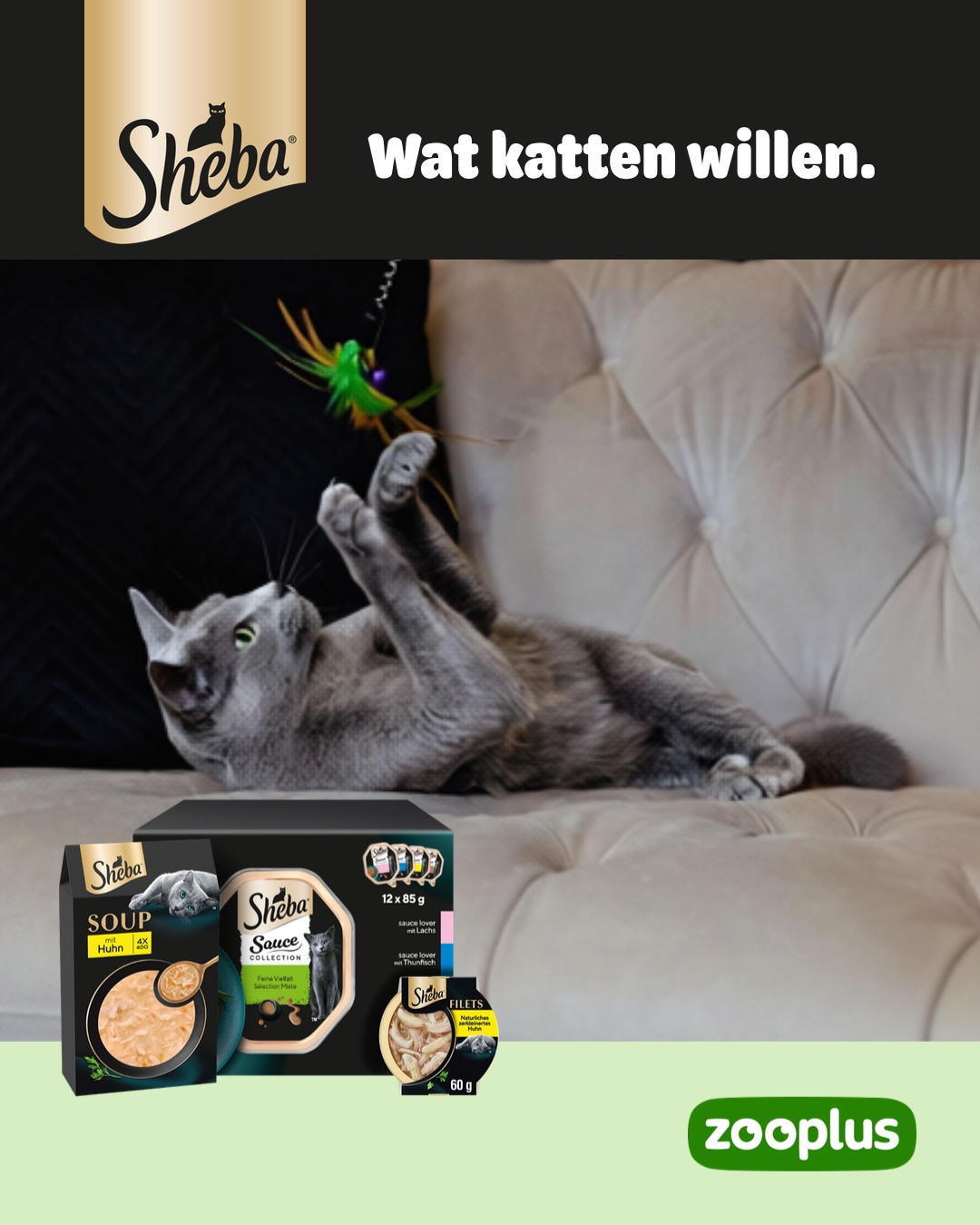 zooplus Facebook ad: SHEBA