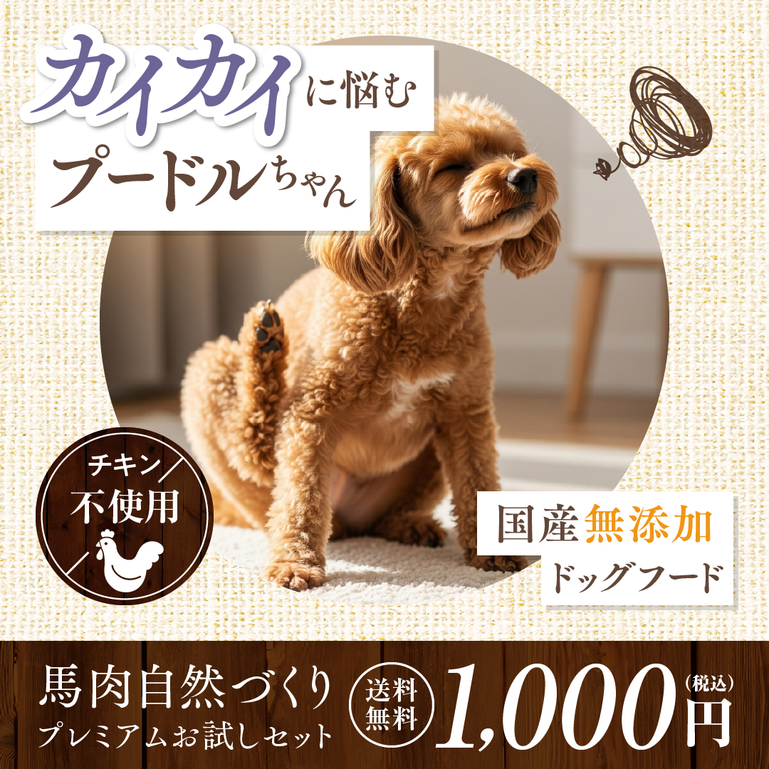 健康いぬ生活 Facebook ad