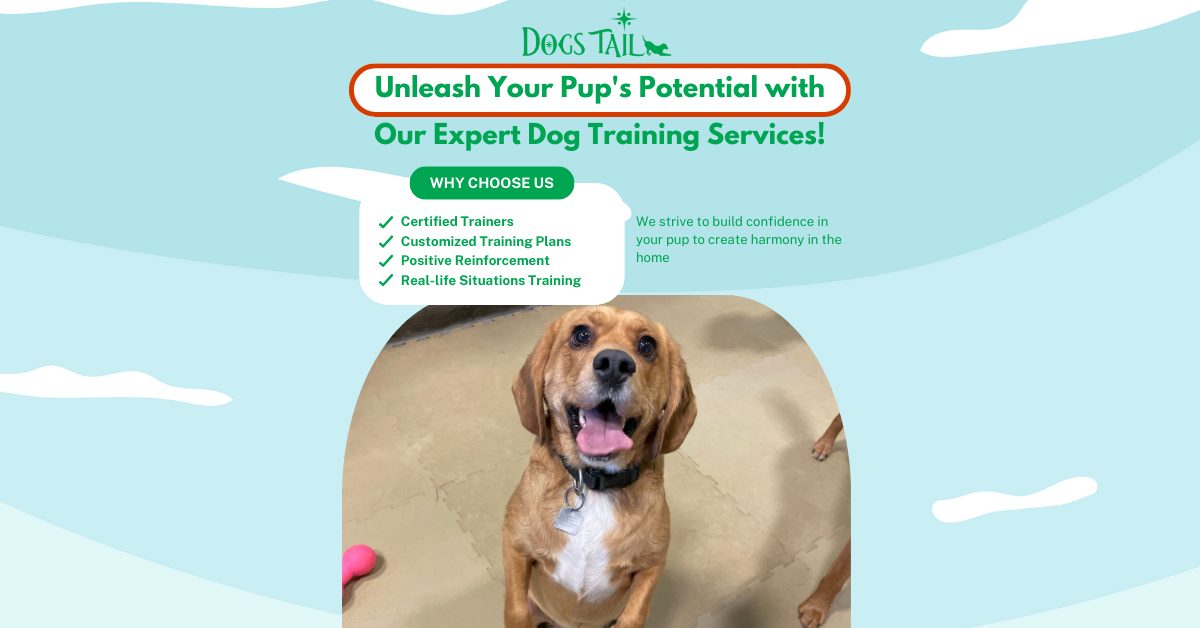 Dogs Tail Inc. Facebook ad