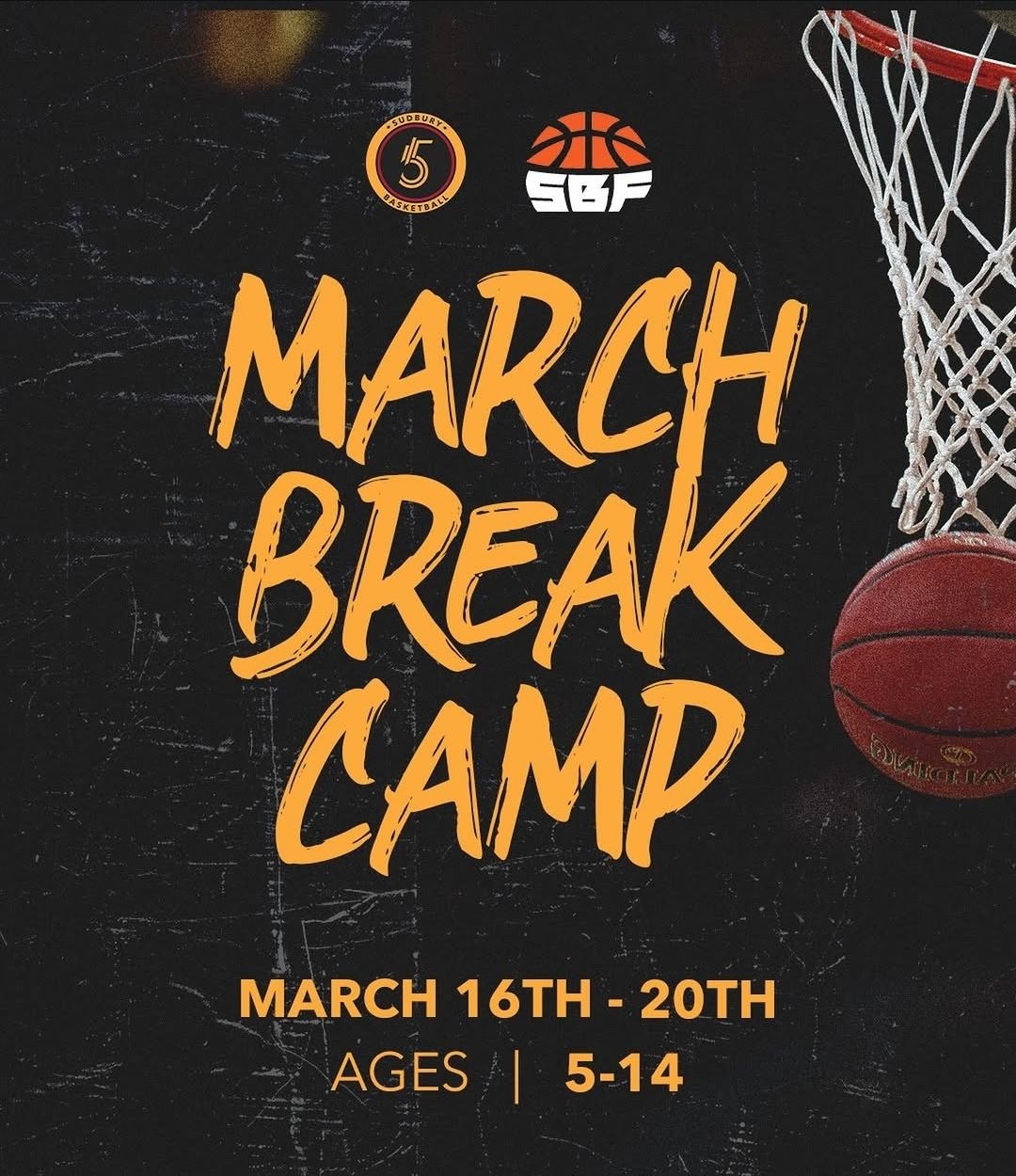 Sudbury Basketball Facility Facebook ad: March Break Basketball Camp