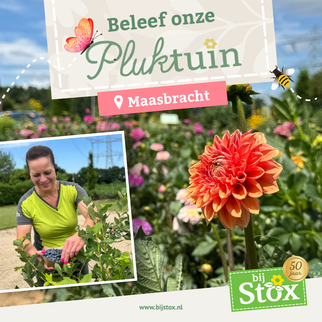 Tuincentrum BijStox Facebook ad