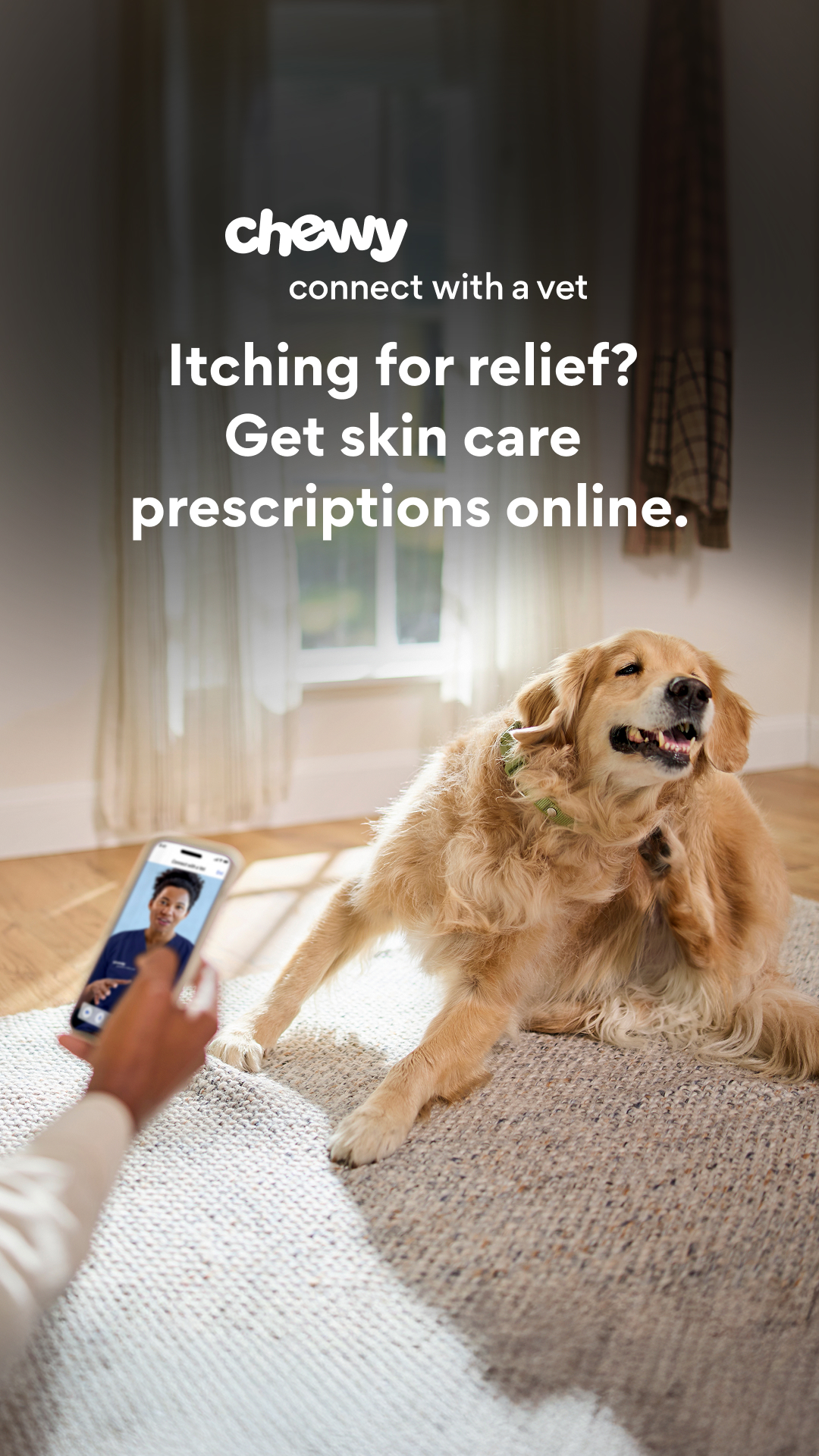 Chewy Facebook ad