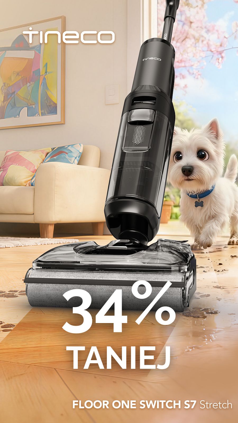 Tineco Facebook ad