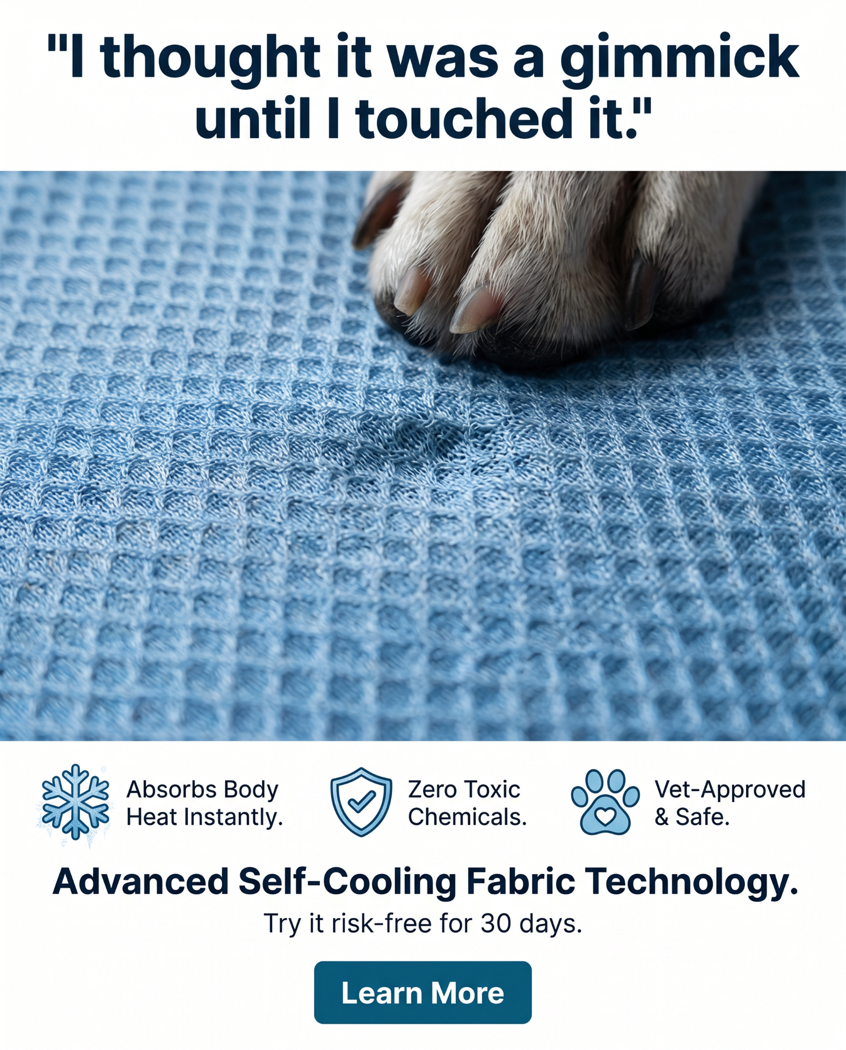 Rhykin Pet Co Facebook ad