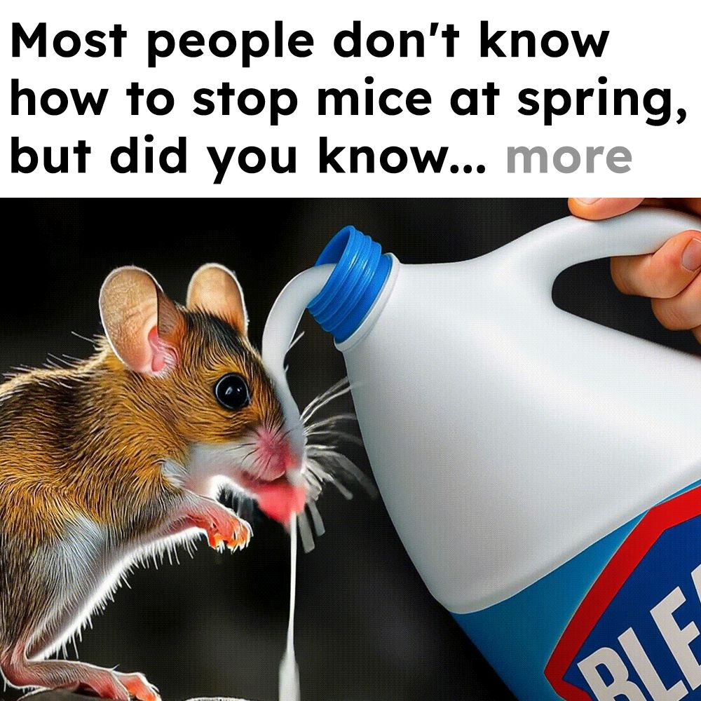 Mice Secrets Facebook ad