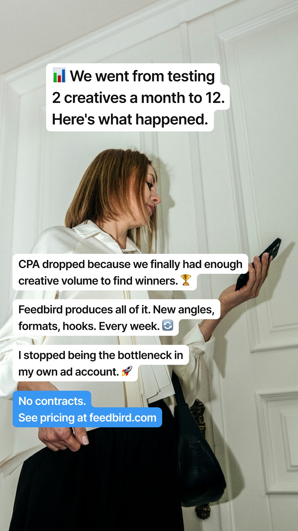 Feedbird Facebook ad