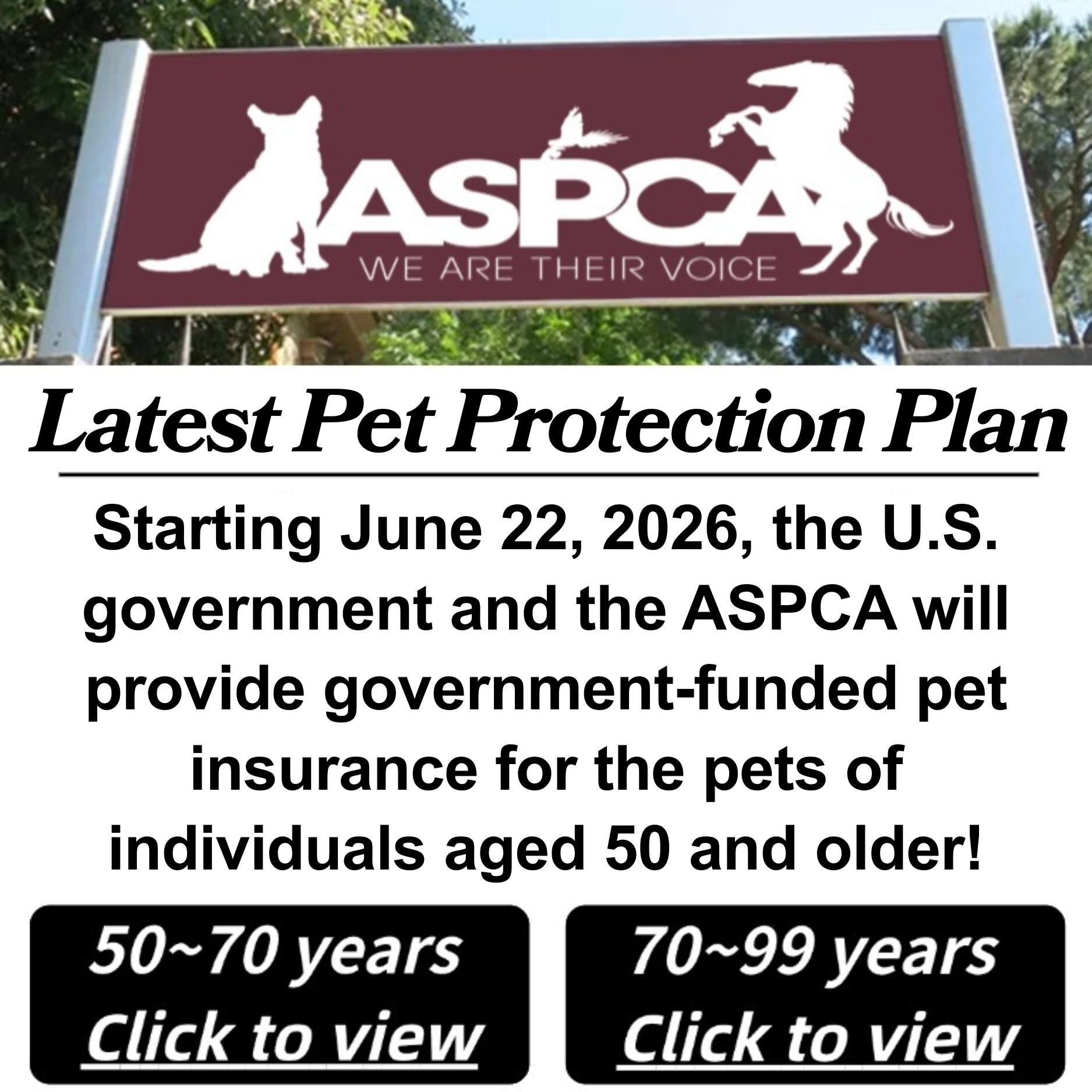Training course platform Facebook ad from Jul 13, 2026