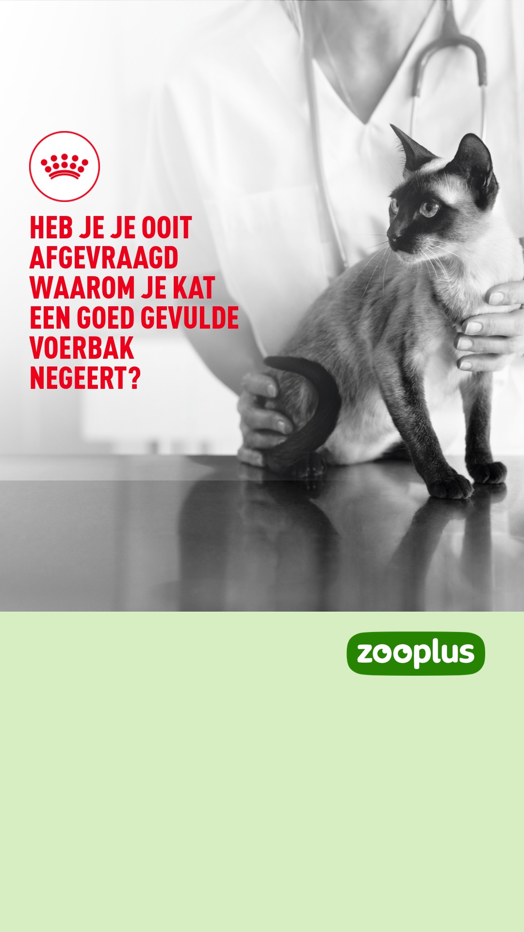 zooplus Facebook ad