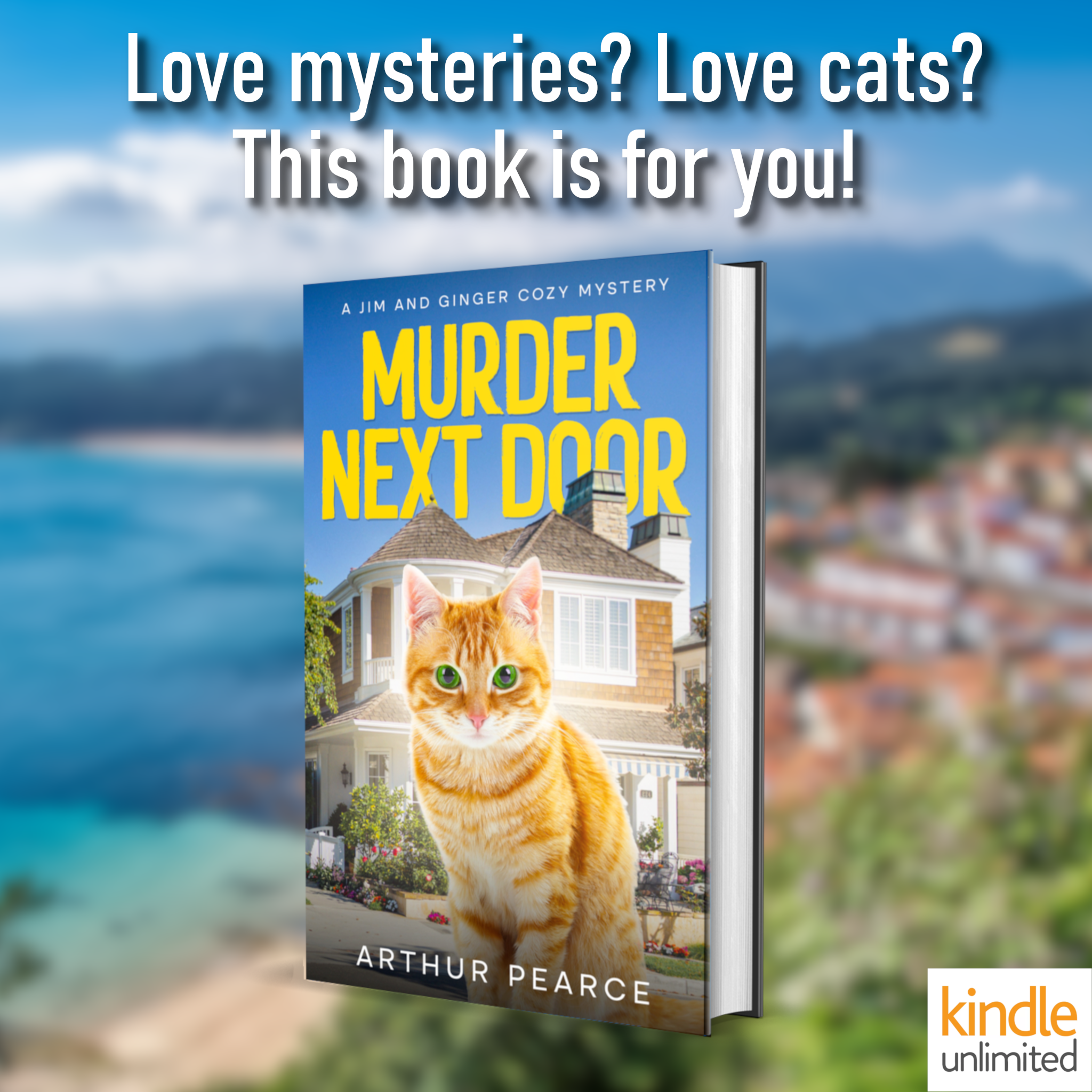 Arthur Pearce Books Facebook ad: Read the bestselling cosy mystery today