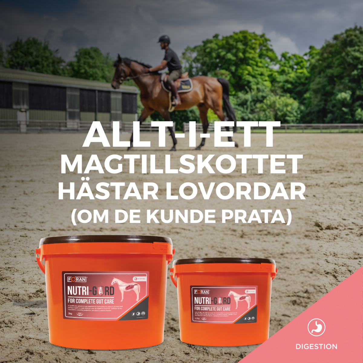 Foran Equine Facebook ad