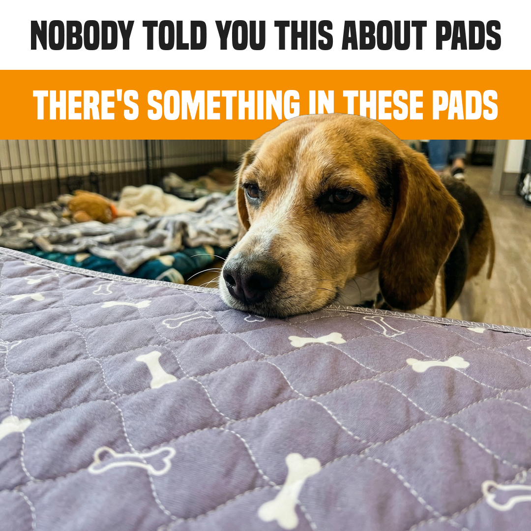 PuppyPad Facebook ad