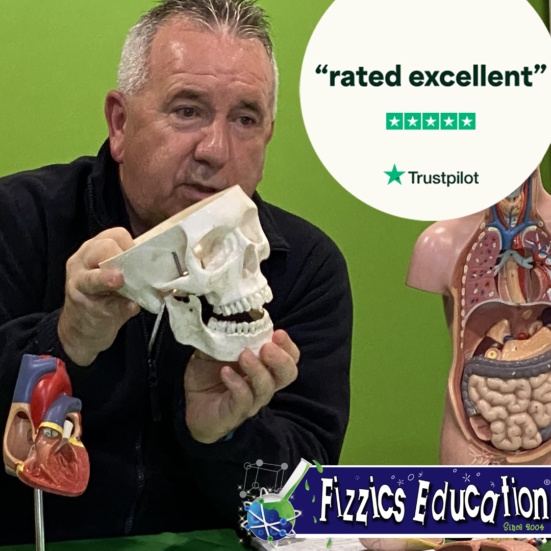 Fizzics Education Facebook ad: K to 6 Units of Work Science Bundle