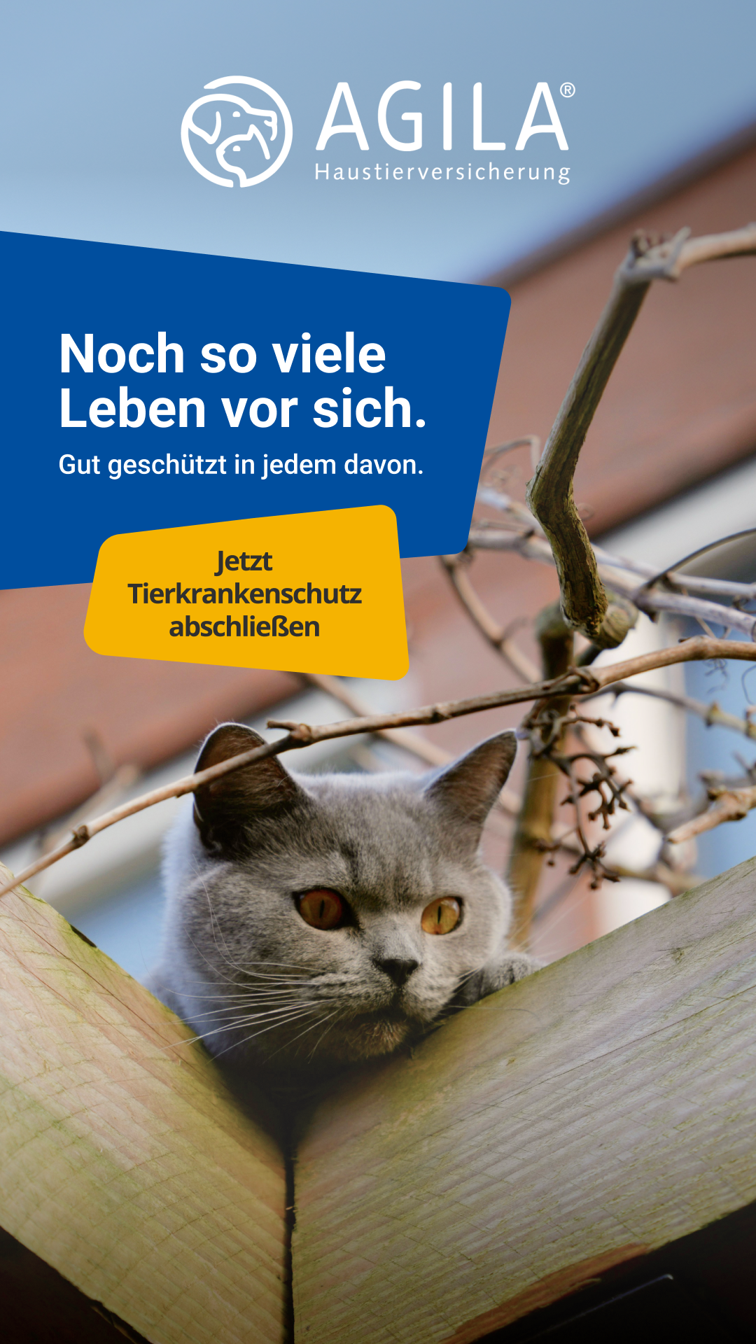 AGILA Haustierversicherung Facebook ad