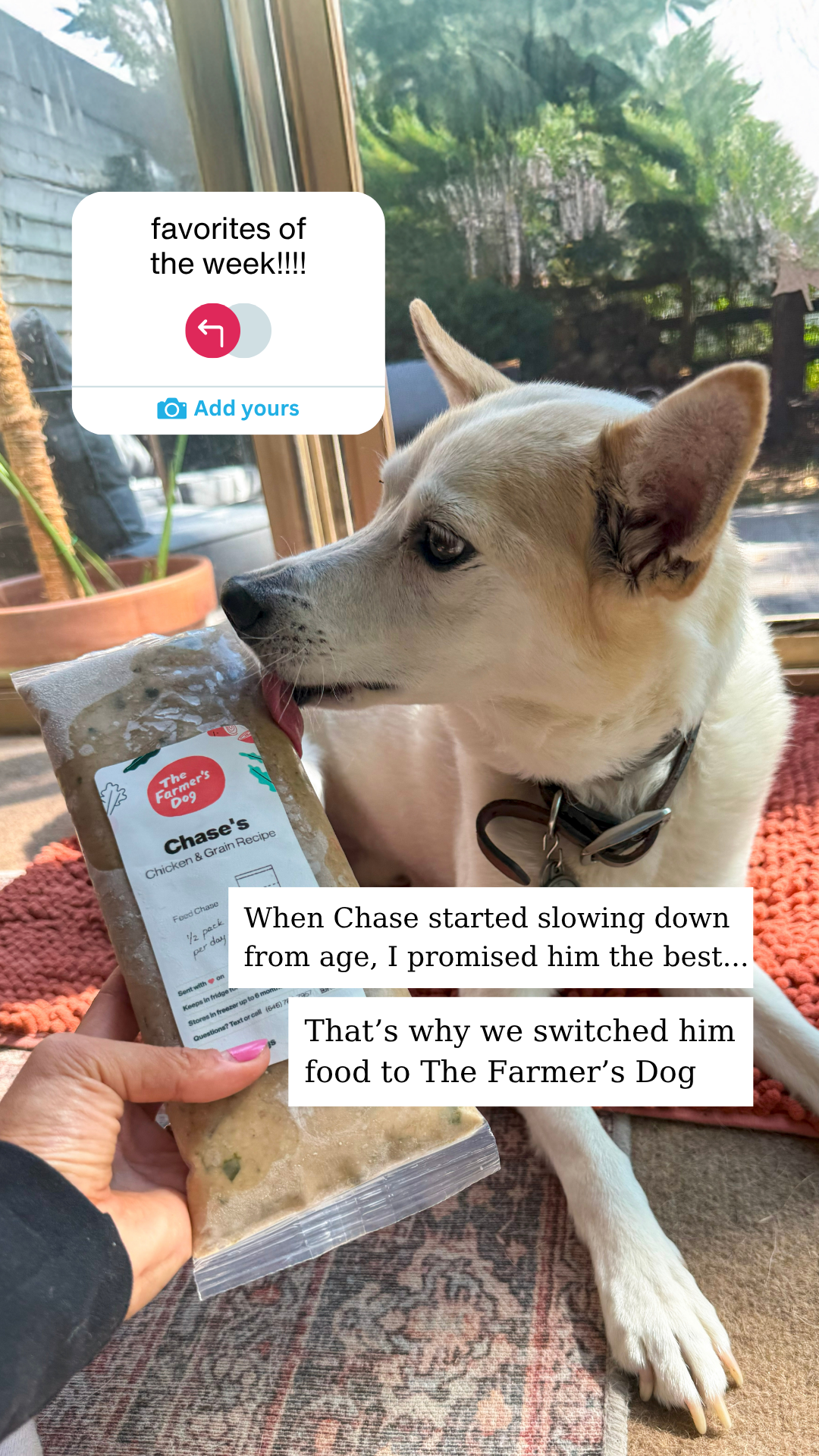 Rounds Of A Paws Facebook ad