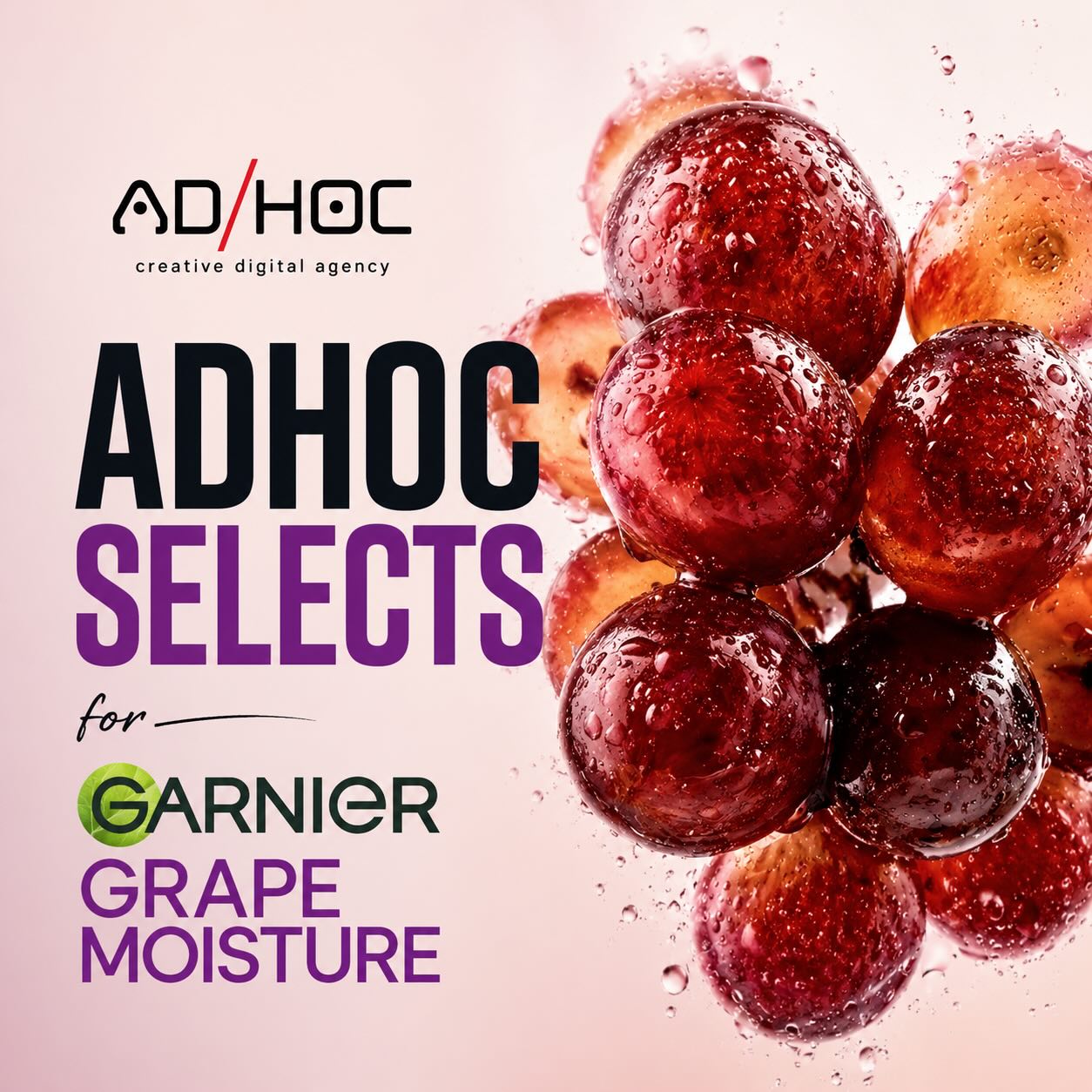 Adhoc Agency Facebook ad: For the next few posts, we will share…