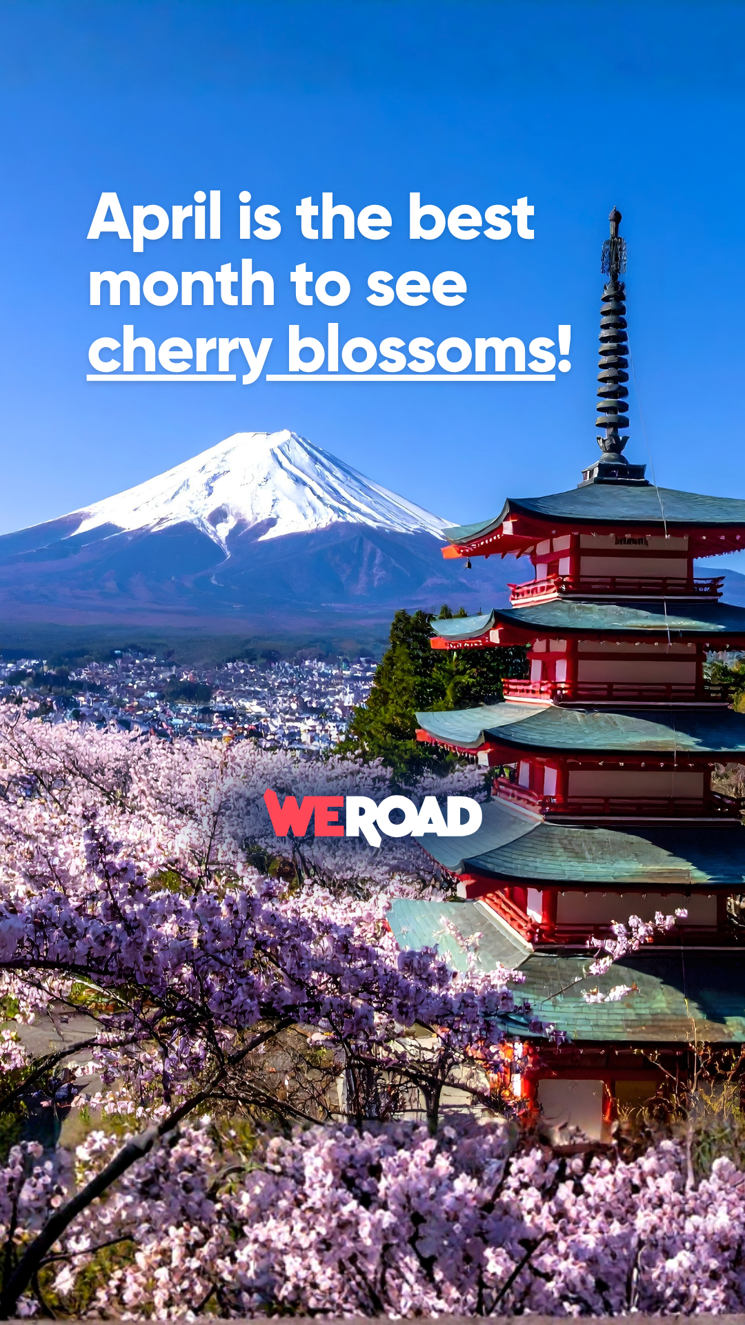 WeRoad Travel Facebook ad