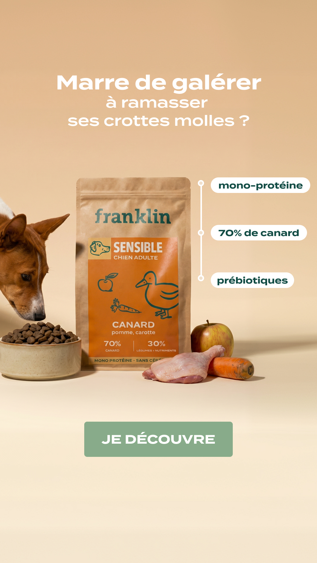 Franklin Pet Food Facebook ad