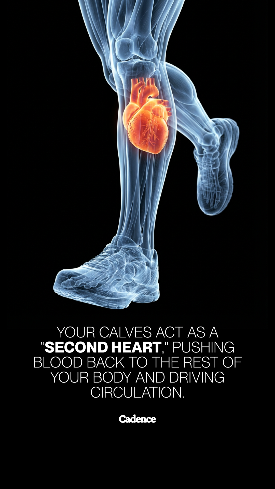 Use Cadence Facebook ad