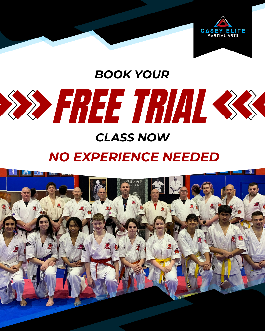 Casey Elite Martial Arts Facebook ad: Ready to get started?